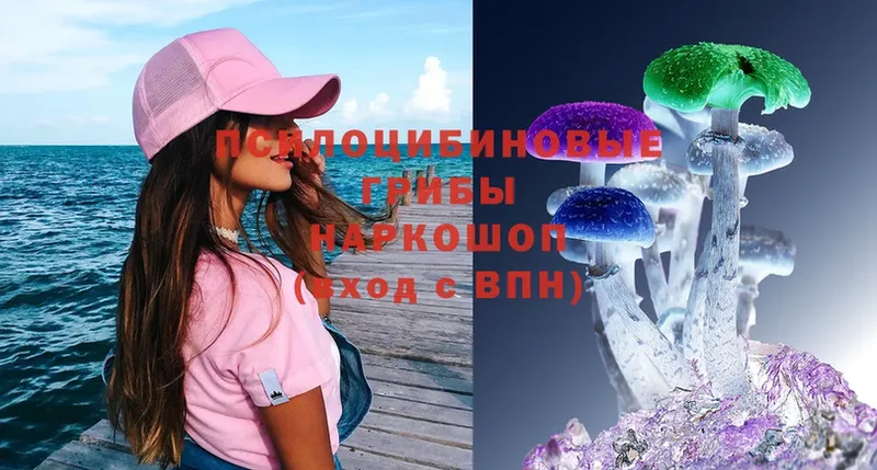 Псилоцибиновые грибы Magic Shrooms Чехов